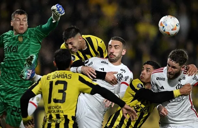 Pe&ntilde;arol e Flamengo, por Libertadores