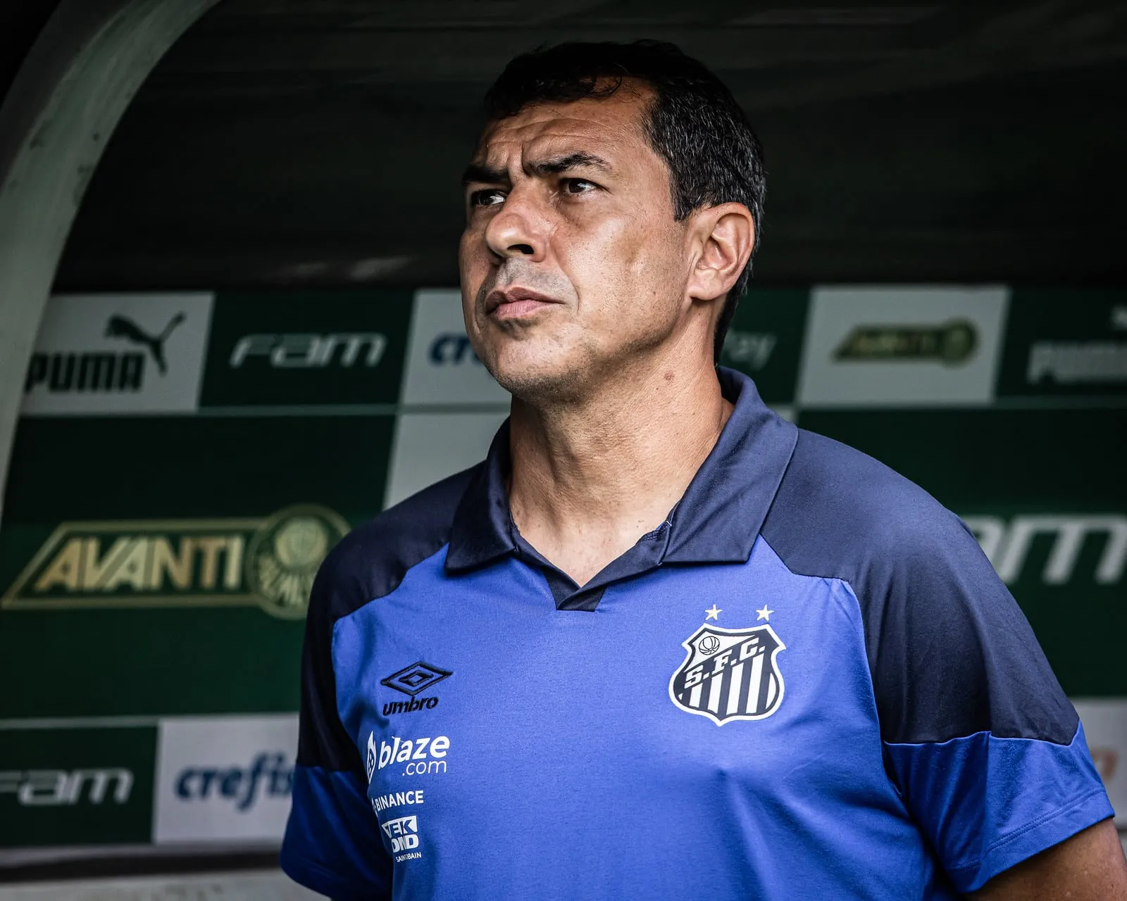 &lsquo;Muito ralo&rsquo;: Carille concorda com cr&iacute;ticas a gramado do Palmeiras e reconhece erro em escala&ccedil;&atilde;o do Santos