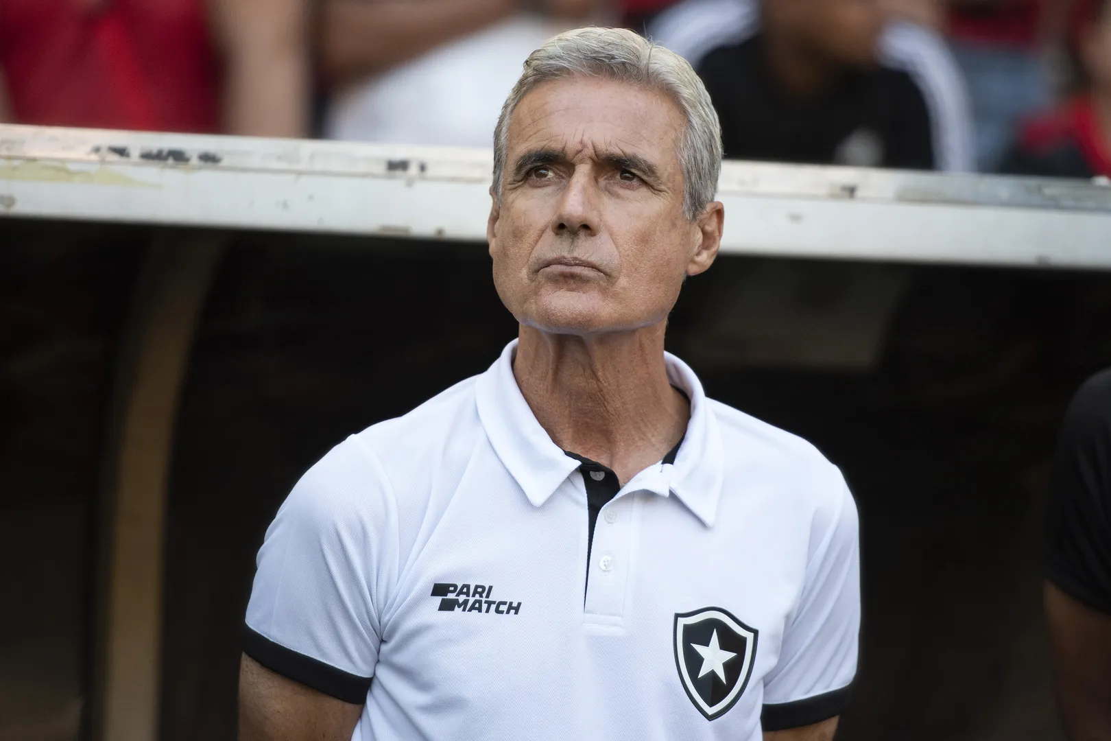 Luis Castro Botafogo