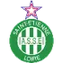 Saint-Etienne escudo