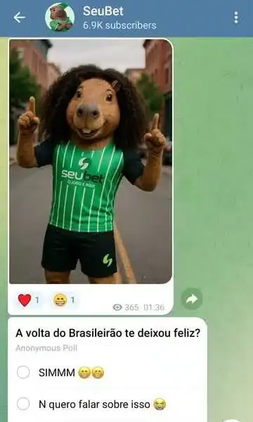 Captura de tela do grupo no Telegram da Seubet