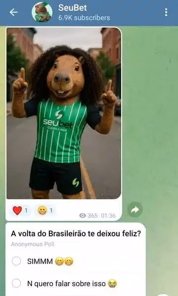 Captura de tela do grupo no Telegram da Seubet