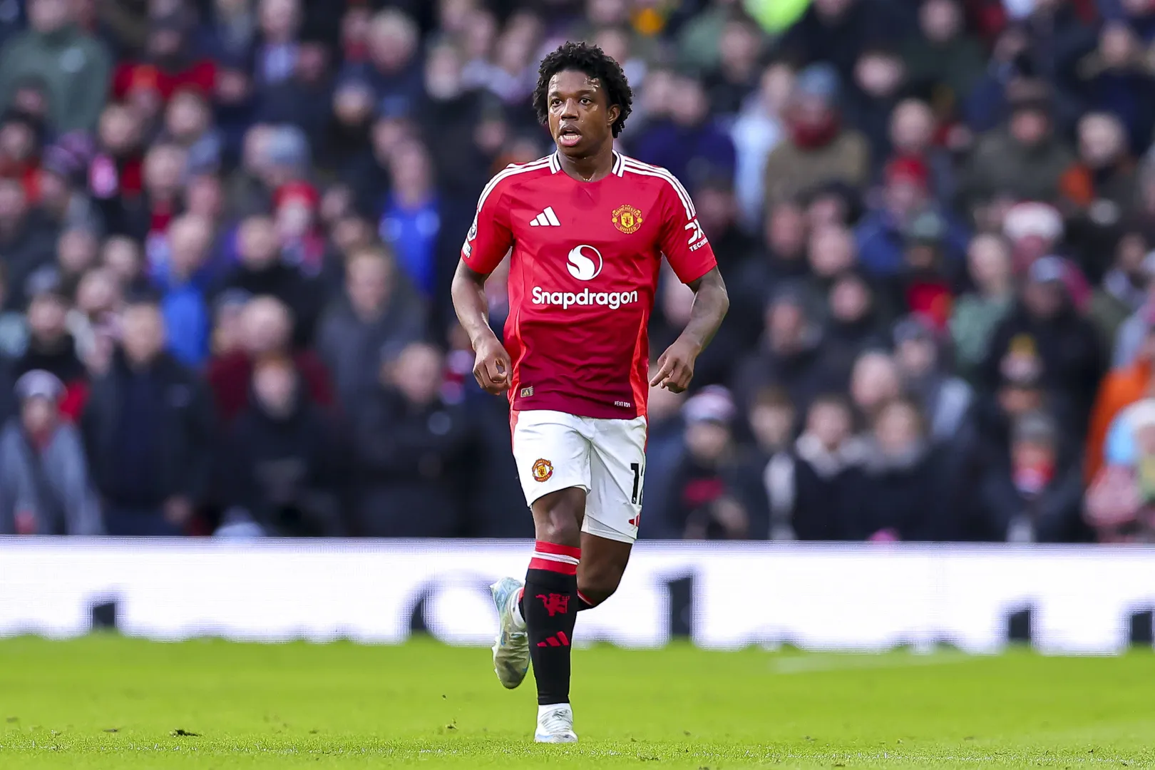 Tyrell Malacia pelo Manchester United Foto: (Imago)
