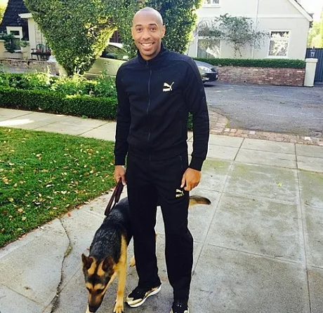 Henry passeou com um cachorro