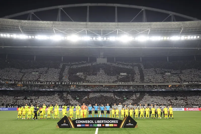 Botafogo j&aacute; vendeu mais de 30 mil ingressos para o pr&oacute;ximo jogo pela Libertadores
