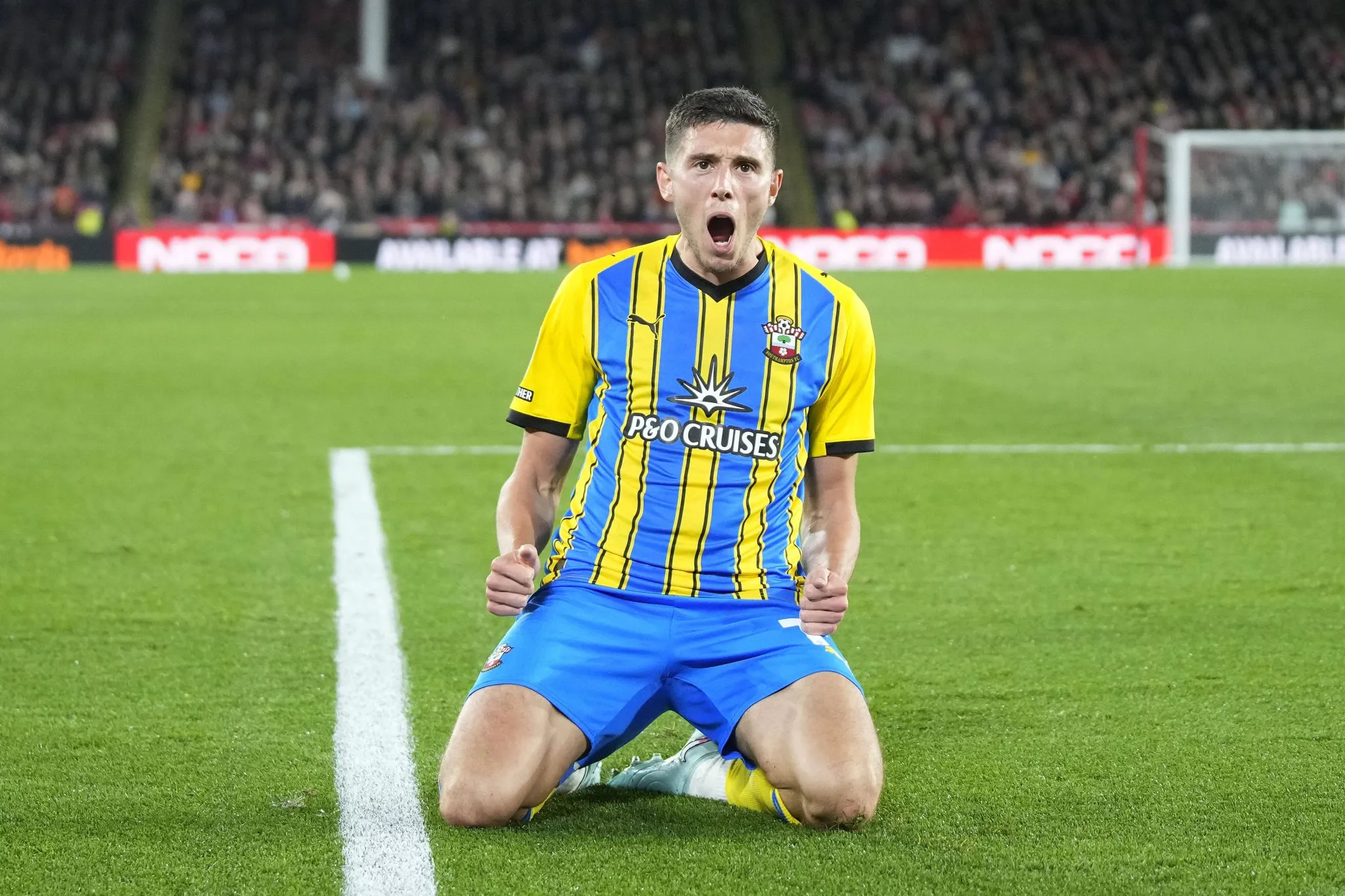 Ross Stewart celebra gol pelo Southampton 