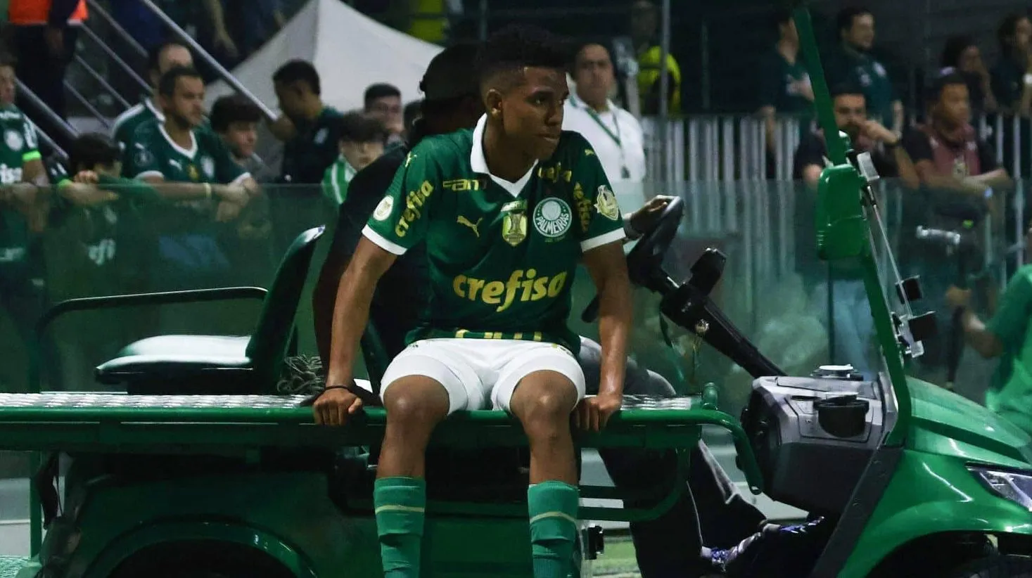 Les&atilde;o de Est&ecirc;v&atilde;o n&atilde;o &eacute; simples e preocupa em momento de crescimento do Palmeiras