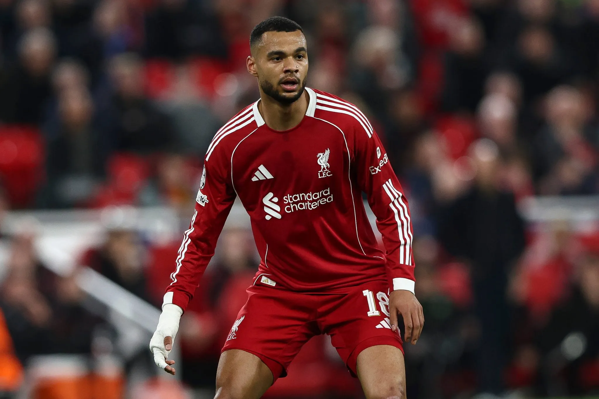 Gakpo em a&ccedil;&atilde;o pelo Liverpool