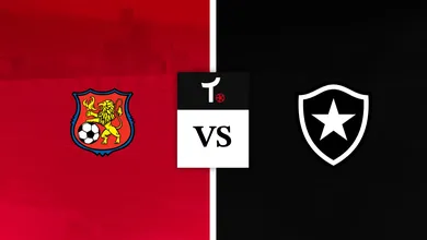 Caracas FC x Botafogo Palpite &ndash; Not&iacute;cias e odds (27/05)