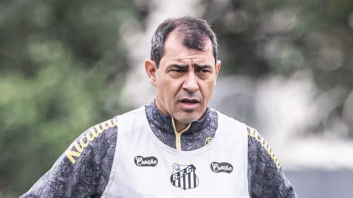 Quais as posi&ccedil;&otilde;es dos cinco refor&ccedil;os desejados por Carille no Santos?