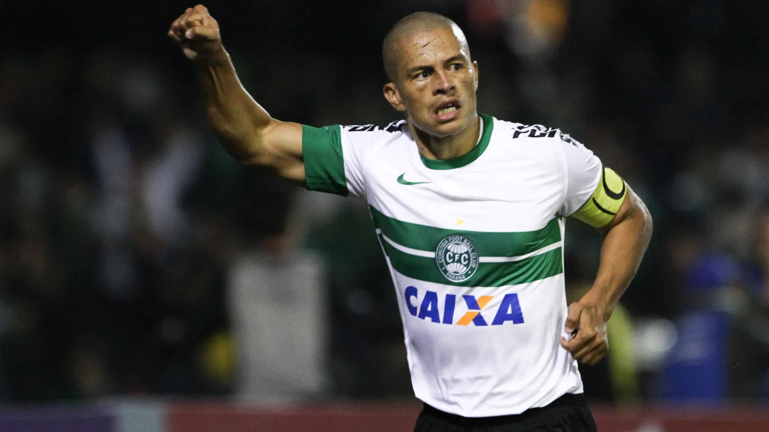 As coisas mais brilhantes que lemos hoje