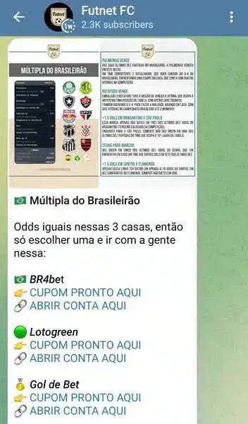 Captura de tela do grupo no Telegram do Futnet FC