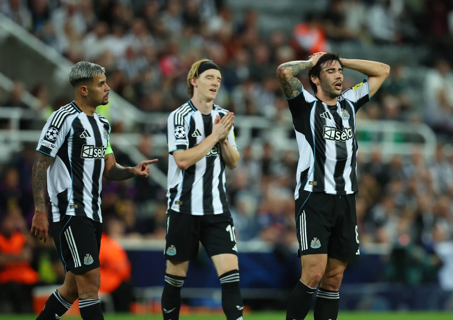 Bruno Guimar&atilde;es, Gordon e Tonali em jogo do Newcastle