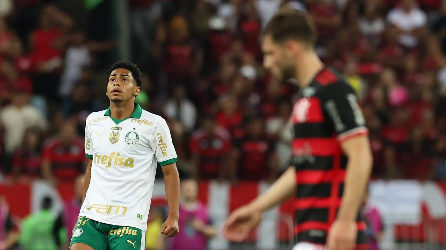 Luighi Palmeiras