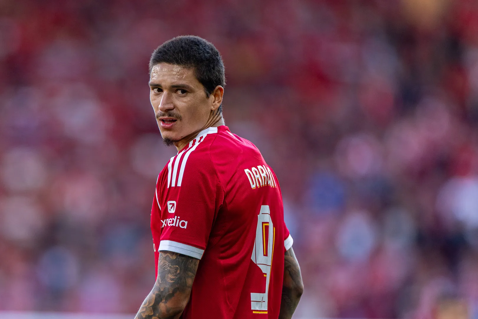 N&uacute;&ntilde;ez na pr&eacute;-temporada do Liverpool