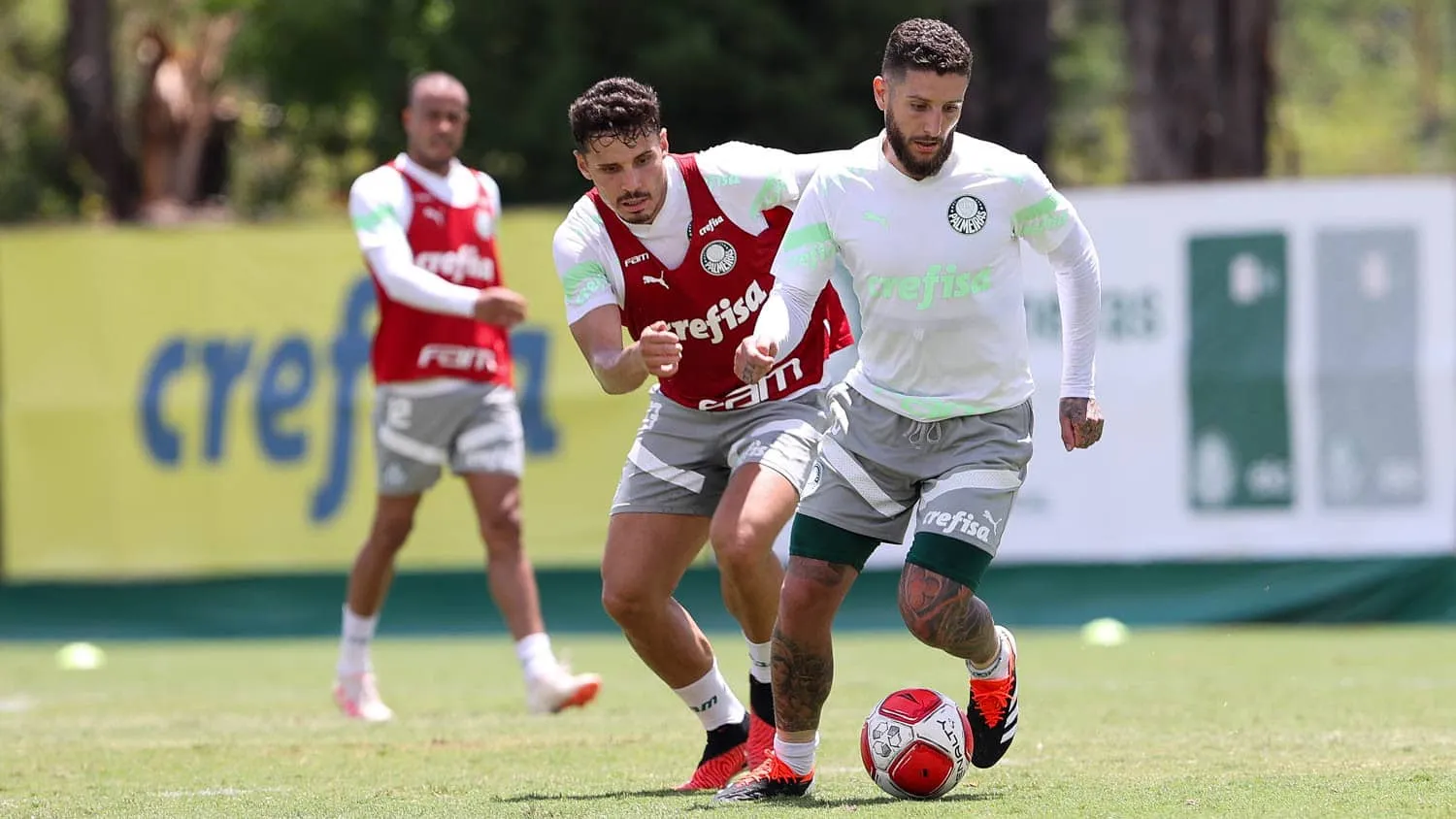 Cinco aspectos em que o Palmeiras de 2024 j&aacute; promete ser melhor que o de 2023