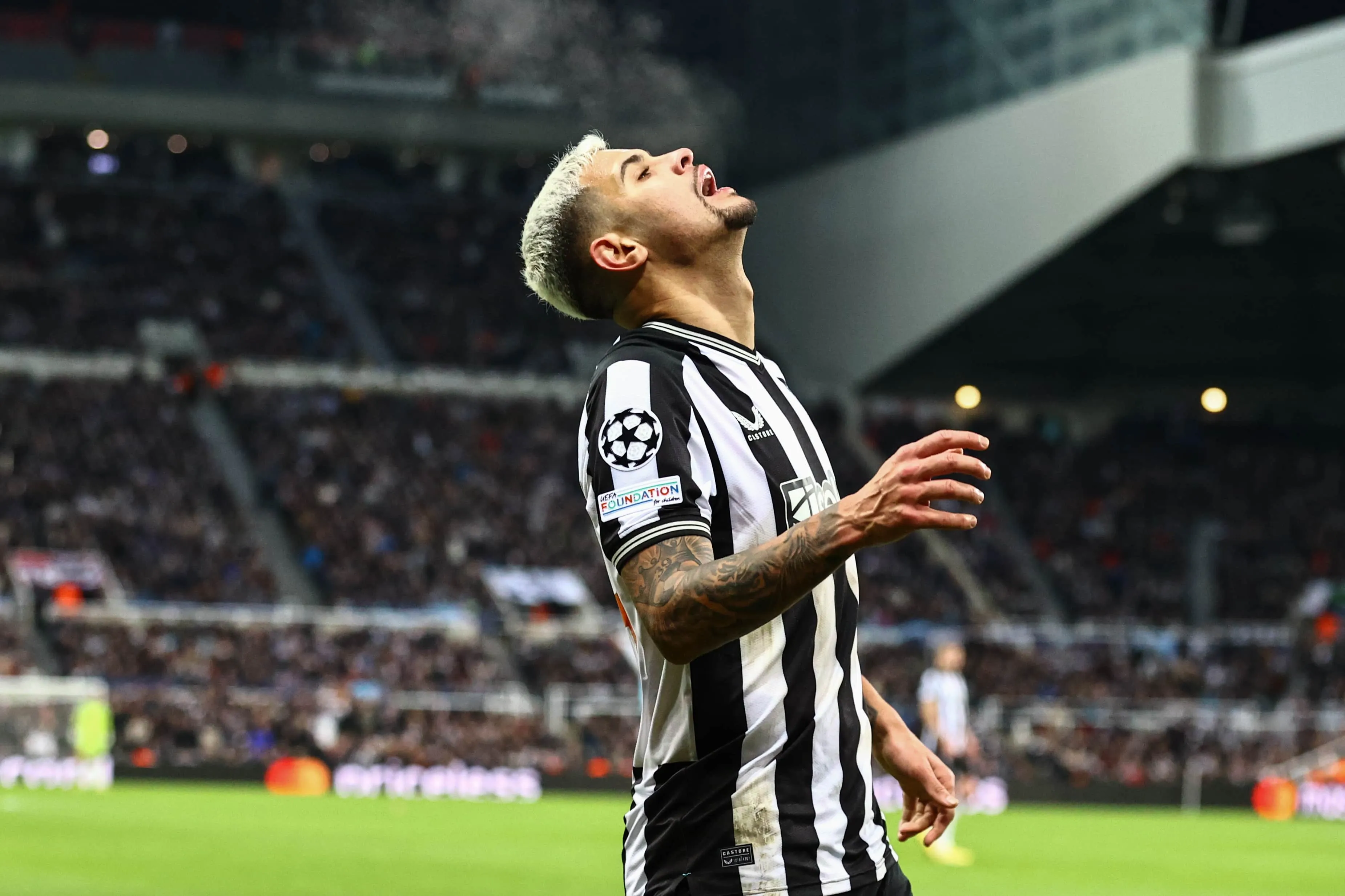 Se o Newcastle quer ser grande, a Copa da Inglaterra &eacute; um come&ccedil;o &mdash; hoje, contra o outro Bellingham