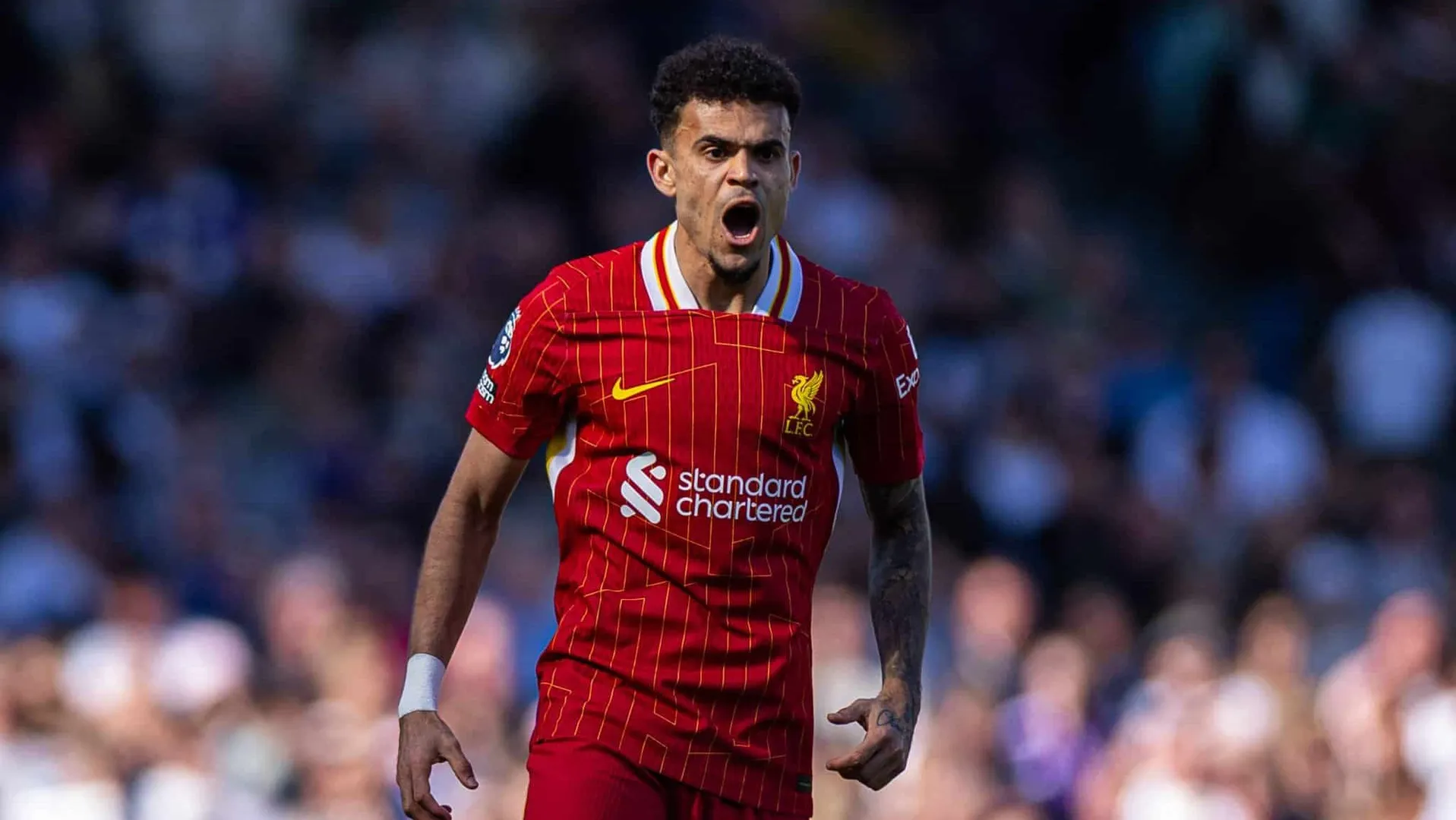 Luis D&iacute;az pelo Liverpool Foto: (Imago)