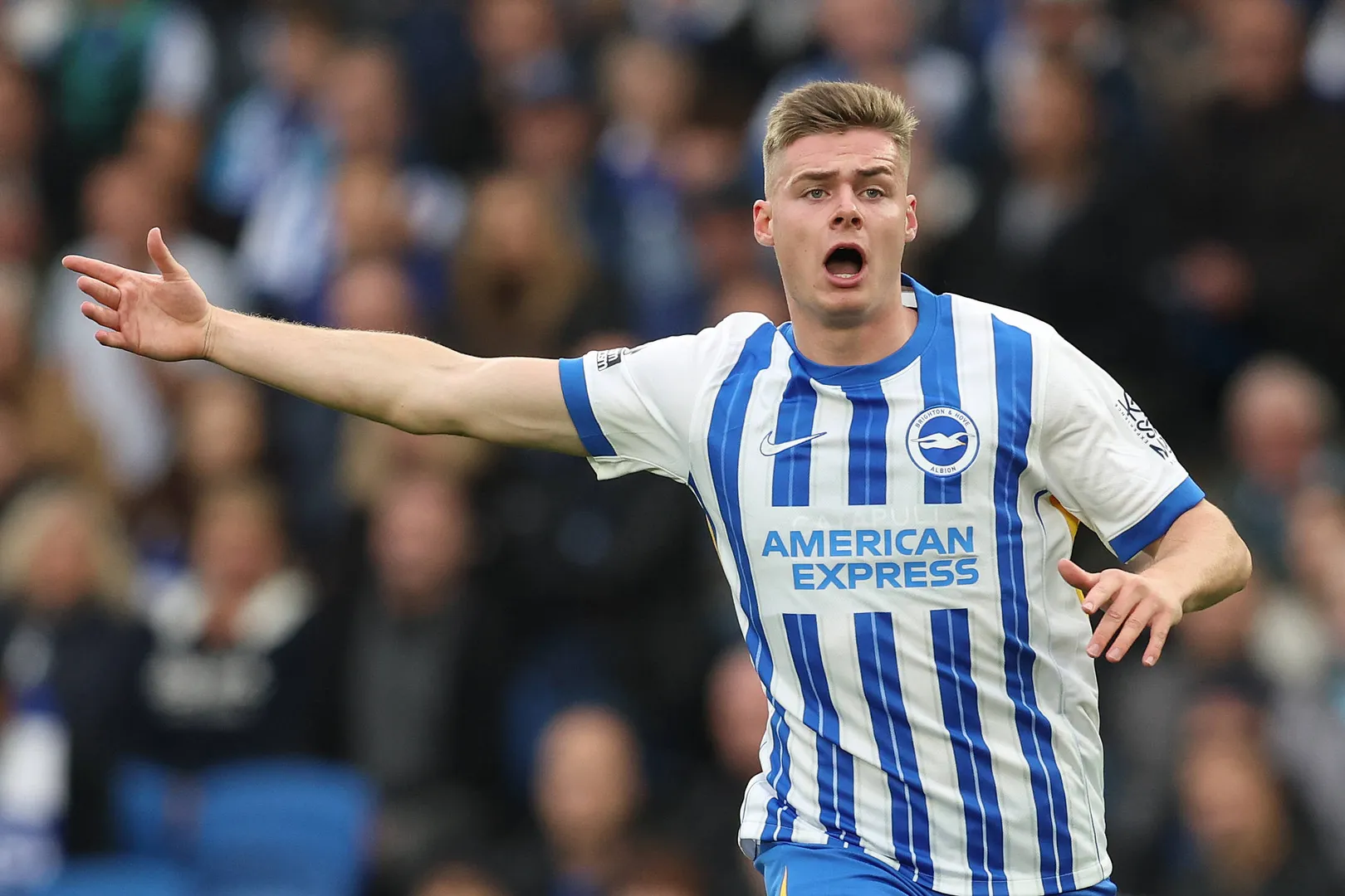 Evan Ferguson em a&ccedil;&atilde;o pelo Brighton Arsenal