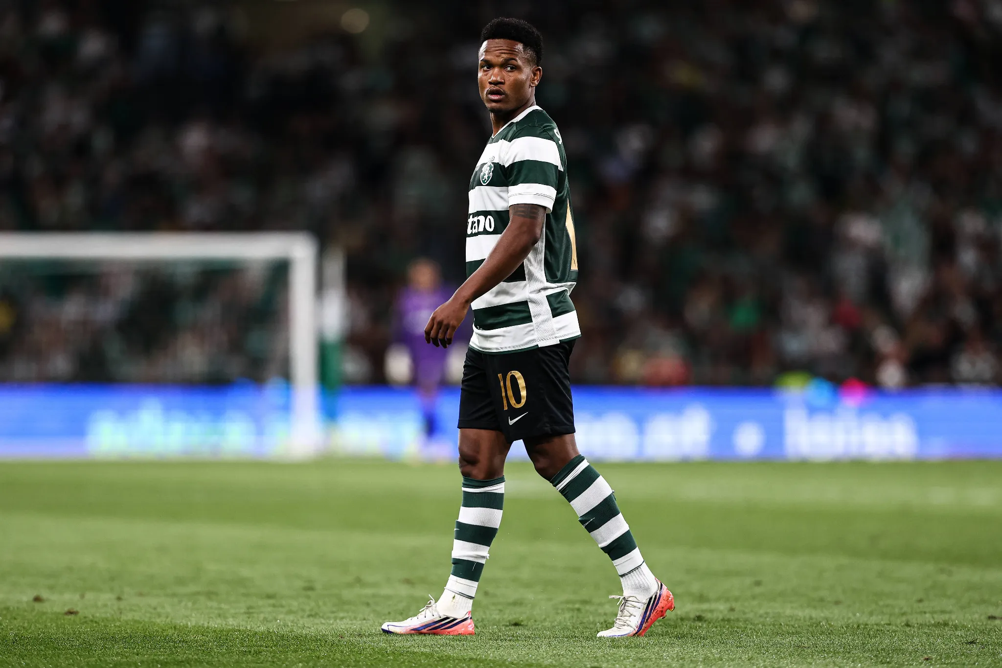 Geny Catamo, Sporting