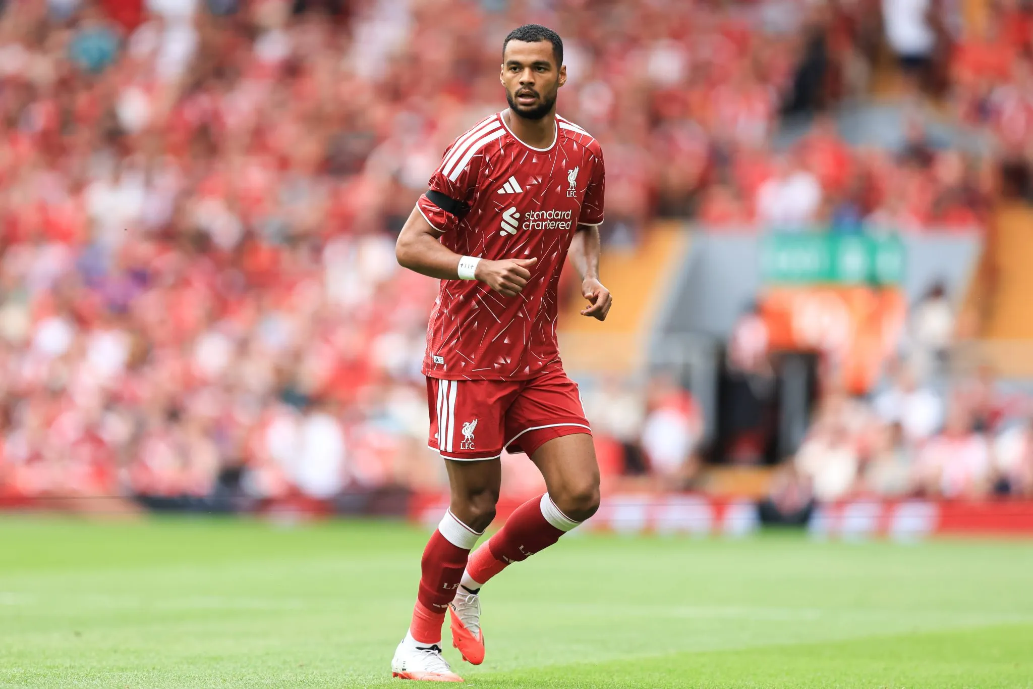 Gakpo em ação pelo Liverpool 