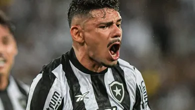 Quem s&atilde;o os maiores artilheiros do Botafogo no Campeonato Brasileiro?
