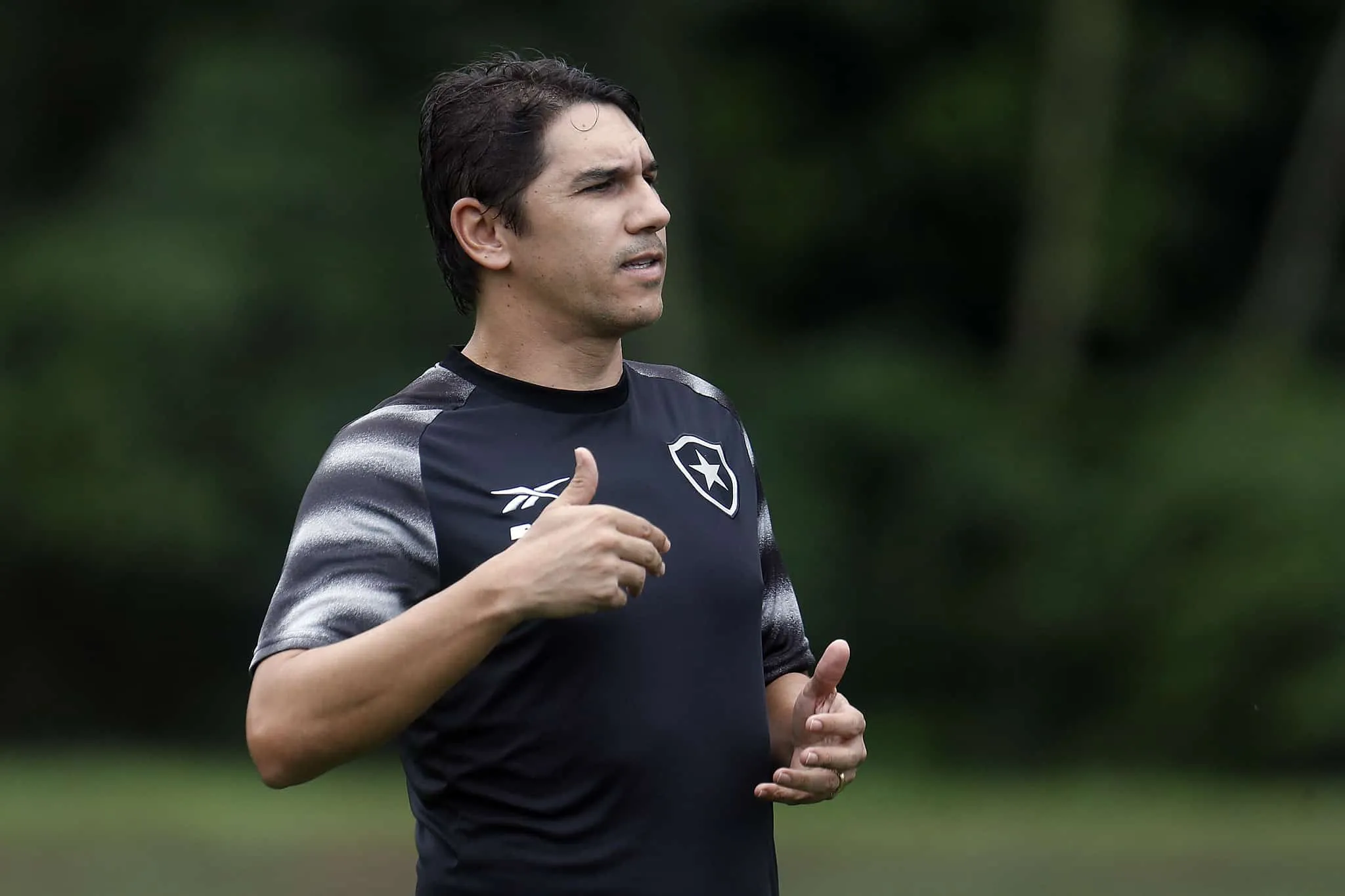 Interino no Botafogo, L&uacute;cio Fl&aacute;vio j&aacute; teve papel essencial no clube neste Brasileiro