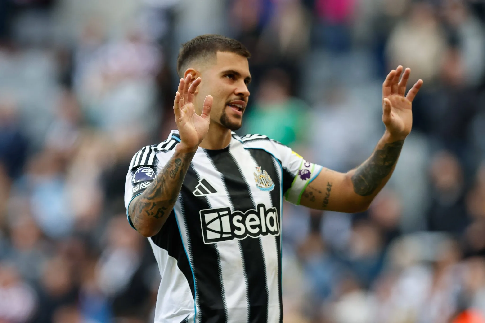 Bruno Guimar&atilde;es em jogo do Newcastle