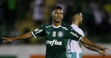 A eclos&atilde;o de Gabriel Ver&oacute;n foi a grande not&iacute;cia que o palmeirense desejava neste fim de Brasileiro