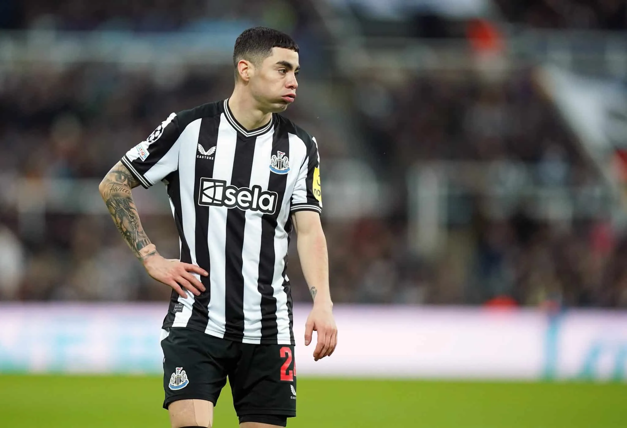 Os dilemas de transfer&ecirc;ncia do Newcastle se acumulam e dessa vez Almir&oacute;n &eacute; quem periga de deixar o clube