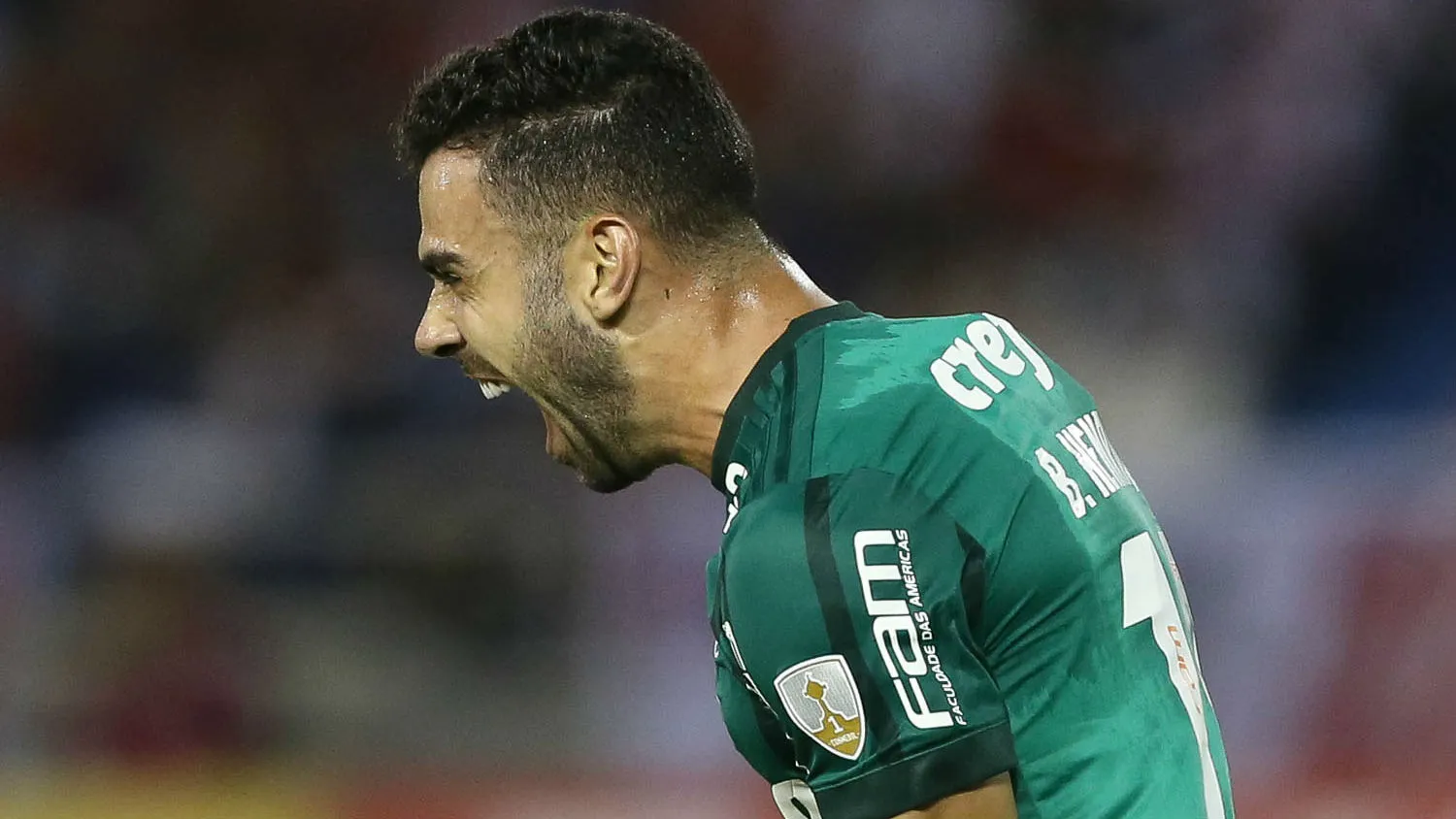 Expuls&atilde;o facilitou a vida do Palmeiras que, apesar das dificuldades, teve um &oacute;timo resultado
