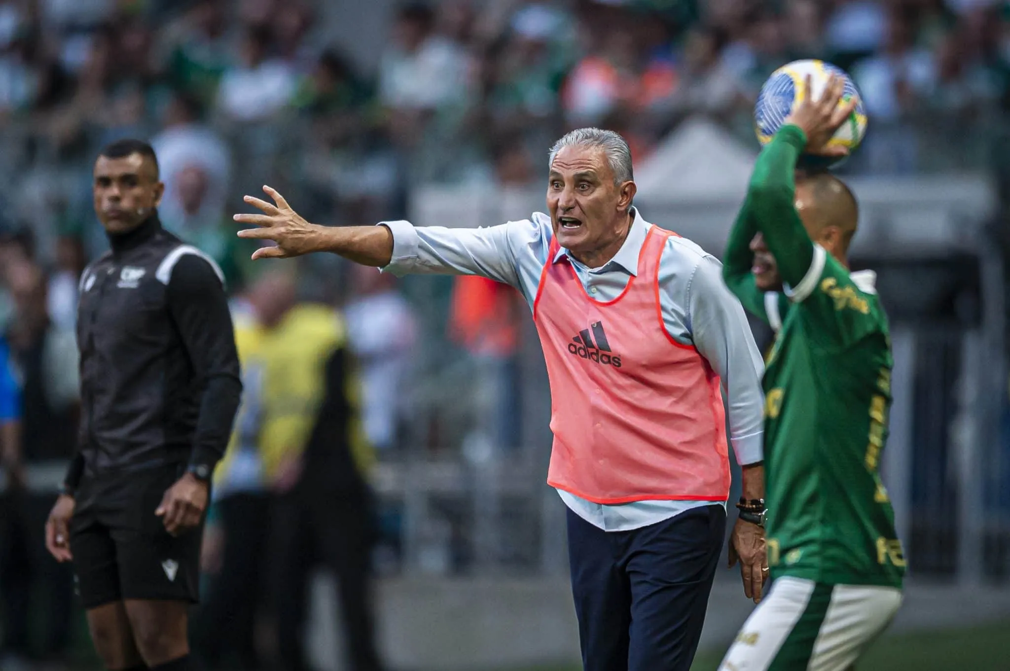 Tite revela cusparada da torcida do Palmeiras e foge de reclama&ccedil;&otilde;es ao sint&eacute;tico