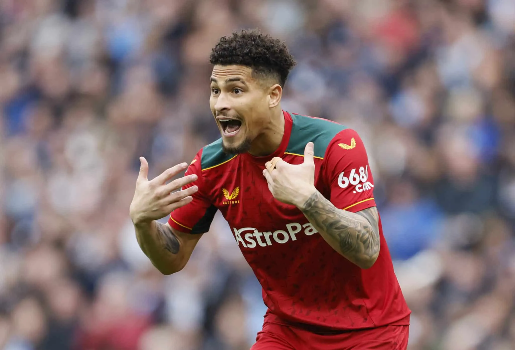 Liverpool &lsquo;realmente gosta de Jo&atilde;o Gomes&rsquo;, afirma jornalista ingl&ecirc;s
