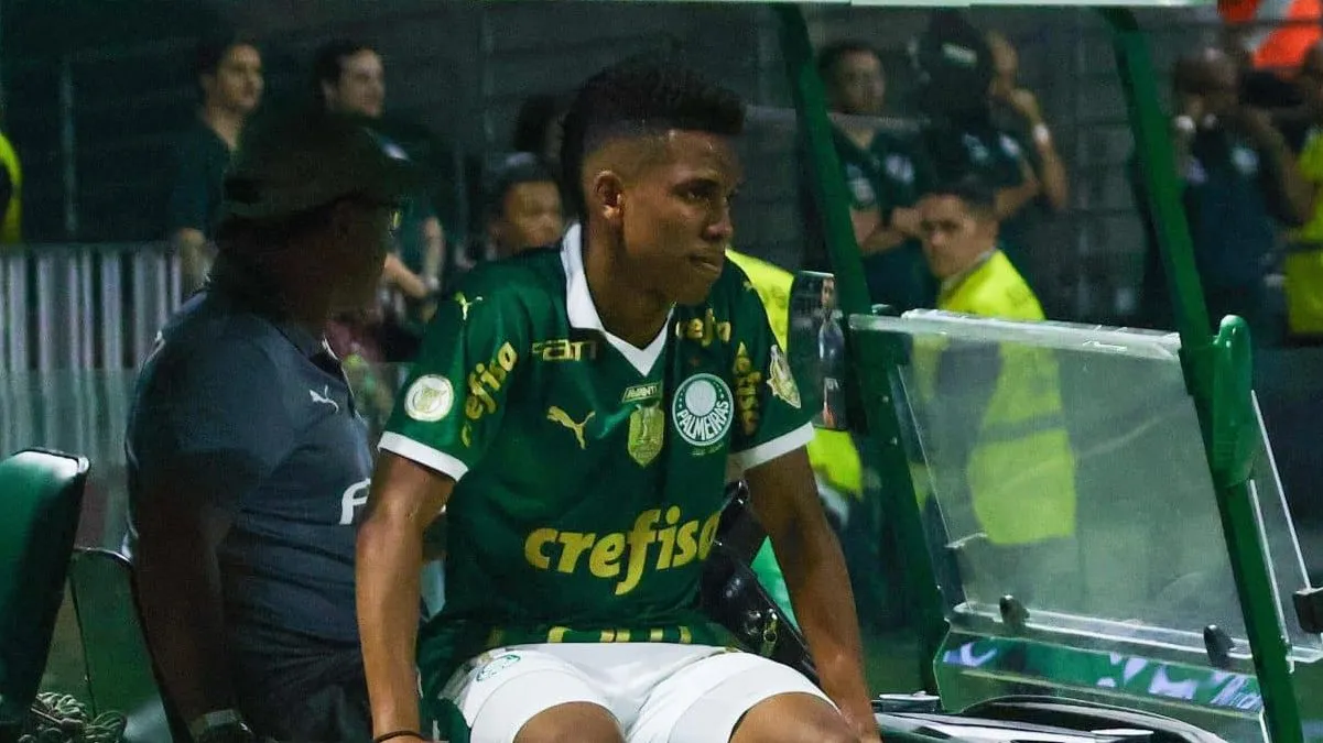 Preju&iacute;zo &eacute; total: Mais do que o jogo, Palmeiras perde Est&ecirc;v&atilde;o diante do Vit&oacute;ria