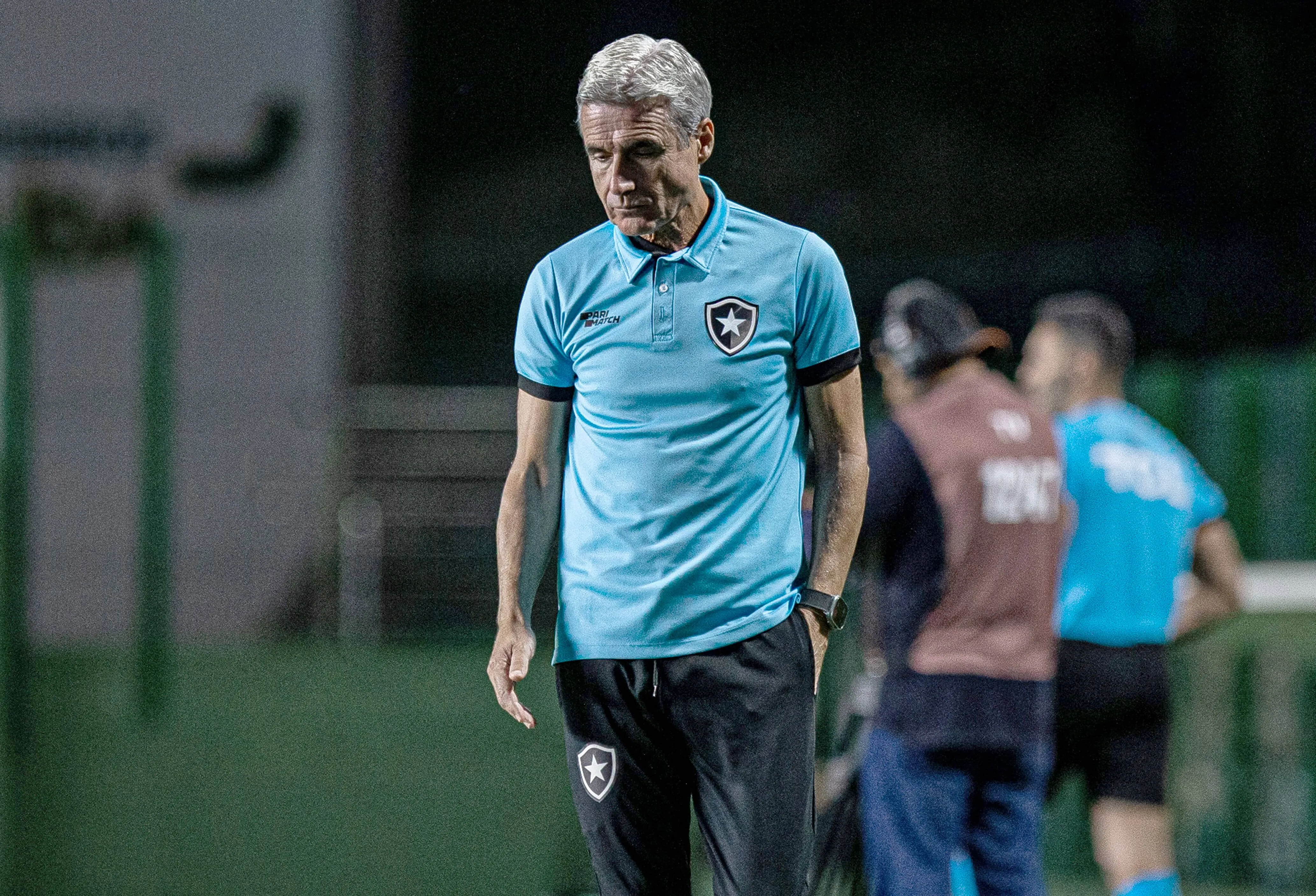 Abandonado por Lu&iacute;s Castro, Botafogo n&atilde;o conseguiu se encontrar e troca de t&eacute;cnicos prejudicou o ano do clube