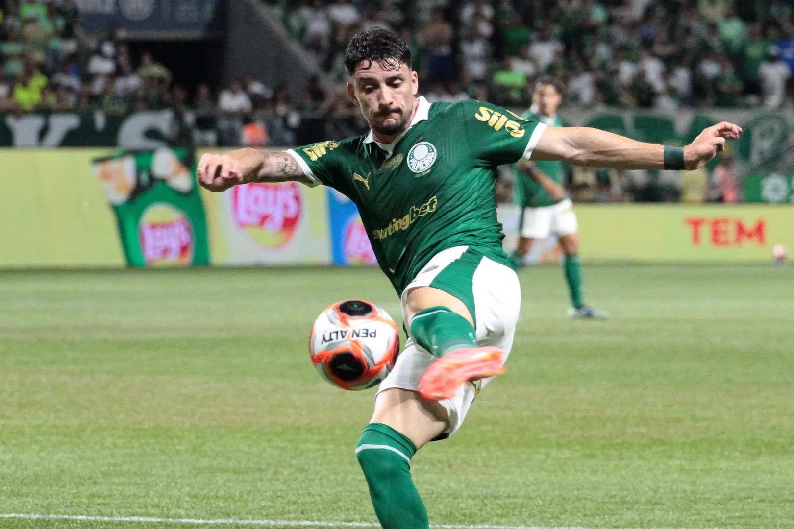 Piquerez durante o D&eacute;rbi entre Palmeiras e Corinthians (Cr&eacute;dito: Peter Leone/O Fotografico/Gazeta Press)
