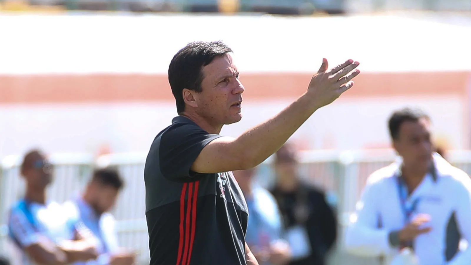 A sa&iacute;da de Z&eacute; Ricardo era incontorn&aacute;vel, mas a discuss&atilde;o no Flamengo n&atilde;o se cont&eacute;m a isso