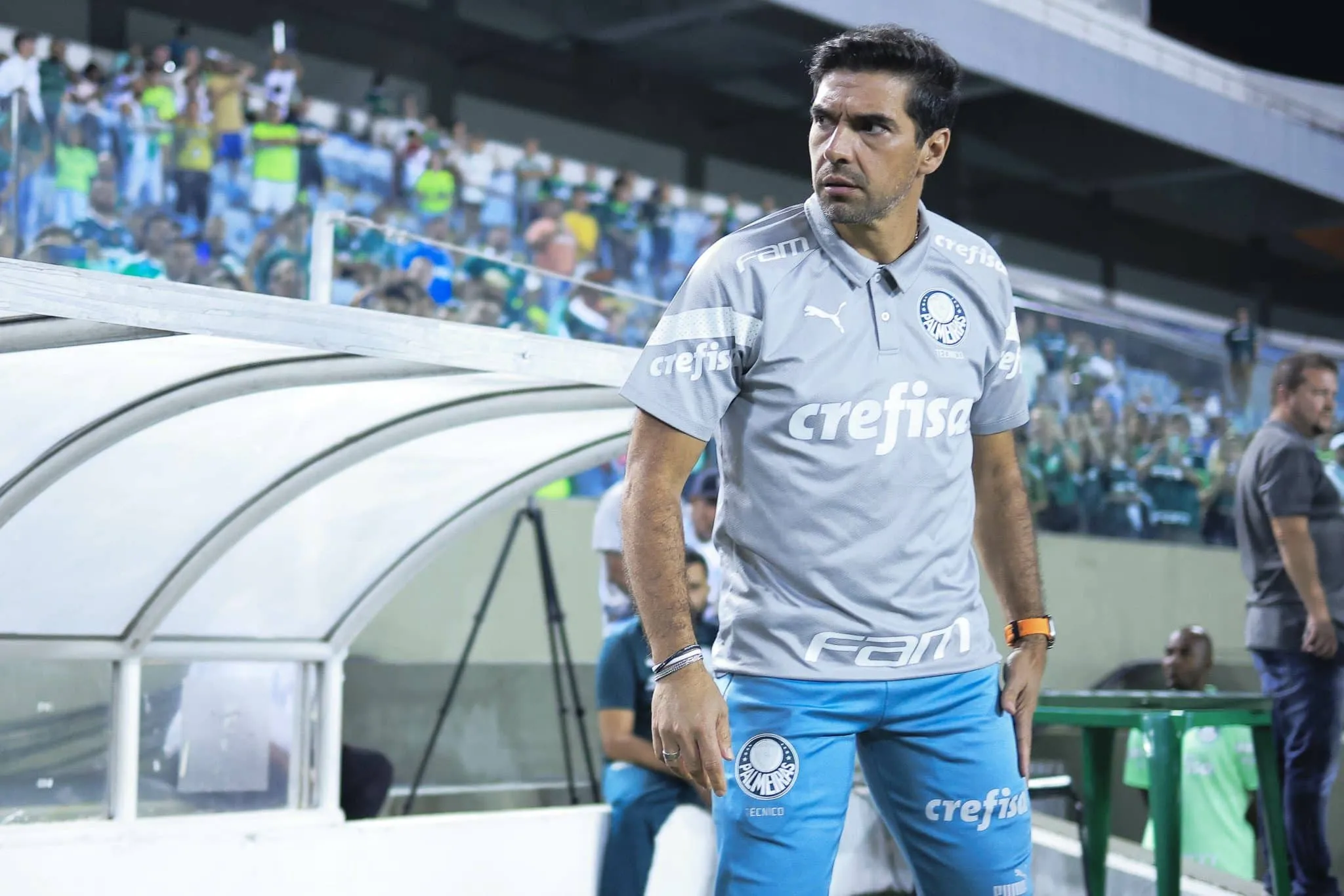 O &lsquo;Pardal e o Bagre&rsquo;: o palmeirense precisa reaprender que a derrota faz parte do futebol