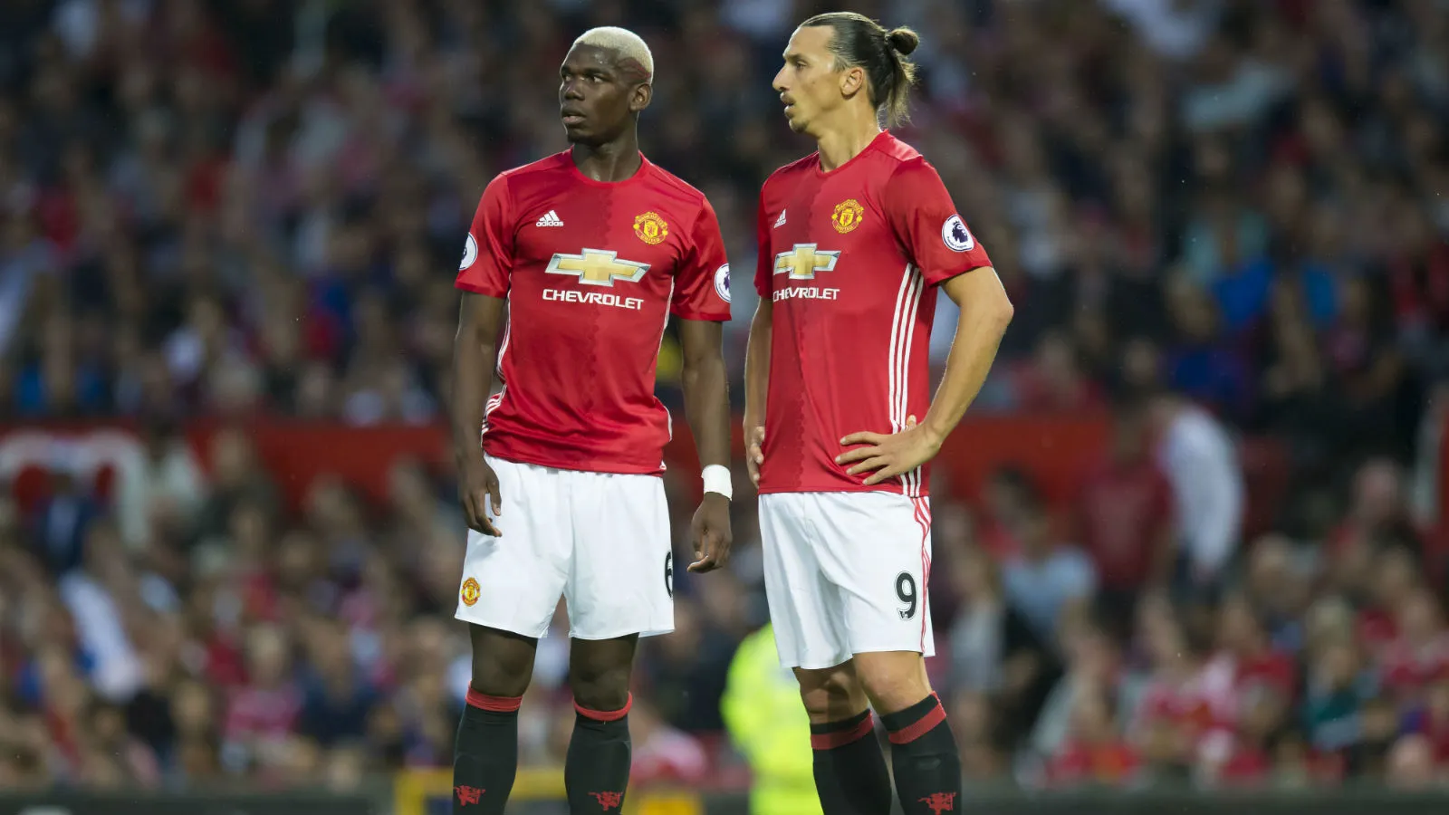 pogba ibra