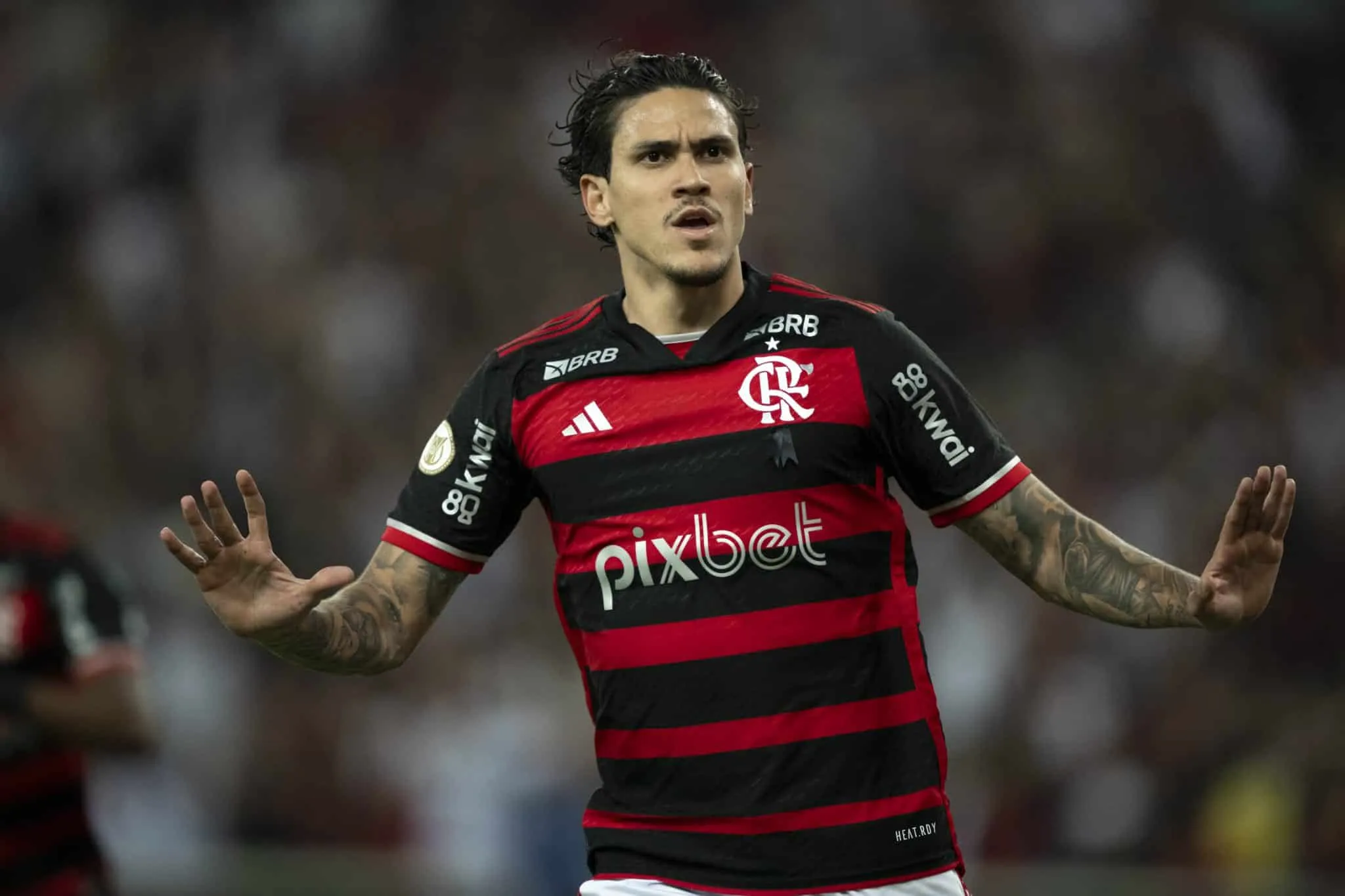 Flamengo tem que agradecer que sele&ccedil;&atilde;o &lsquo;esqueceu&rsquo; Pedro e Fabr&iacute;cio Bruno