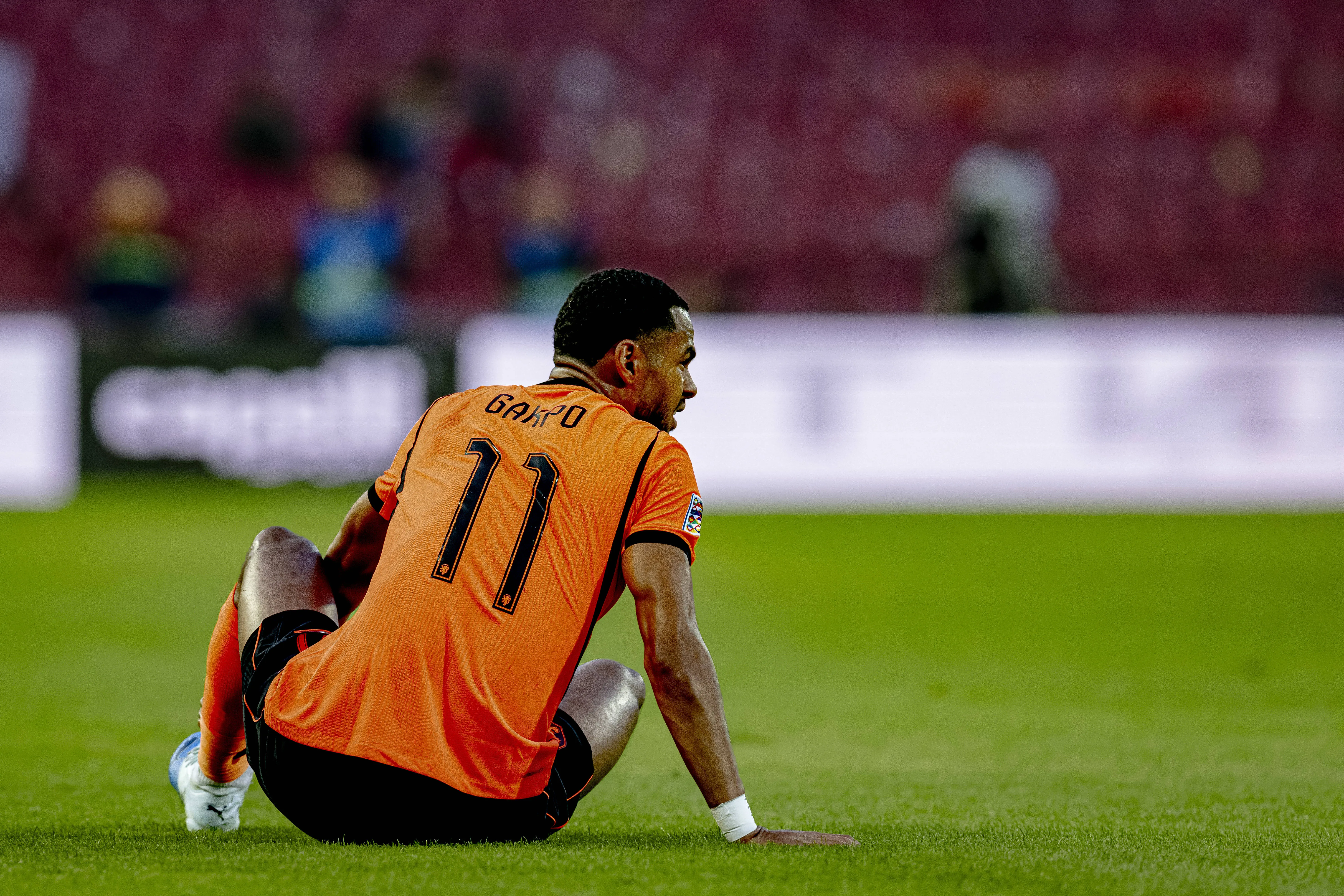 Gakpo caído no gramado durante jogo dos Países Baixos 