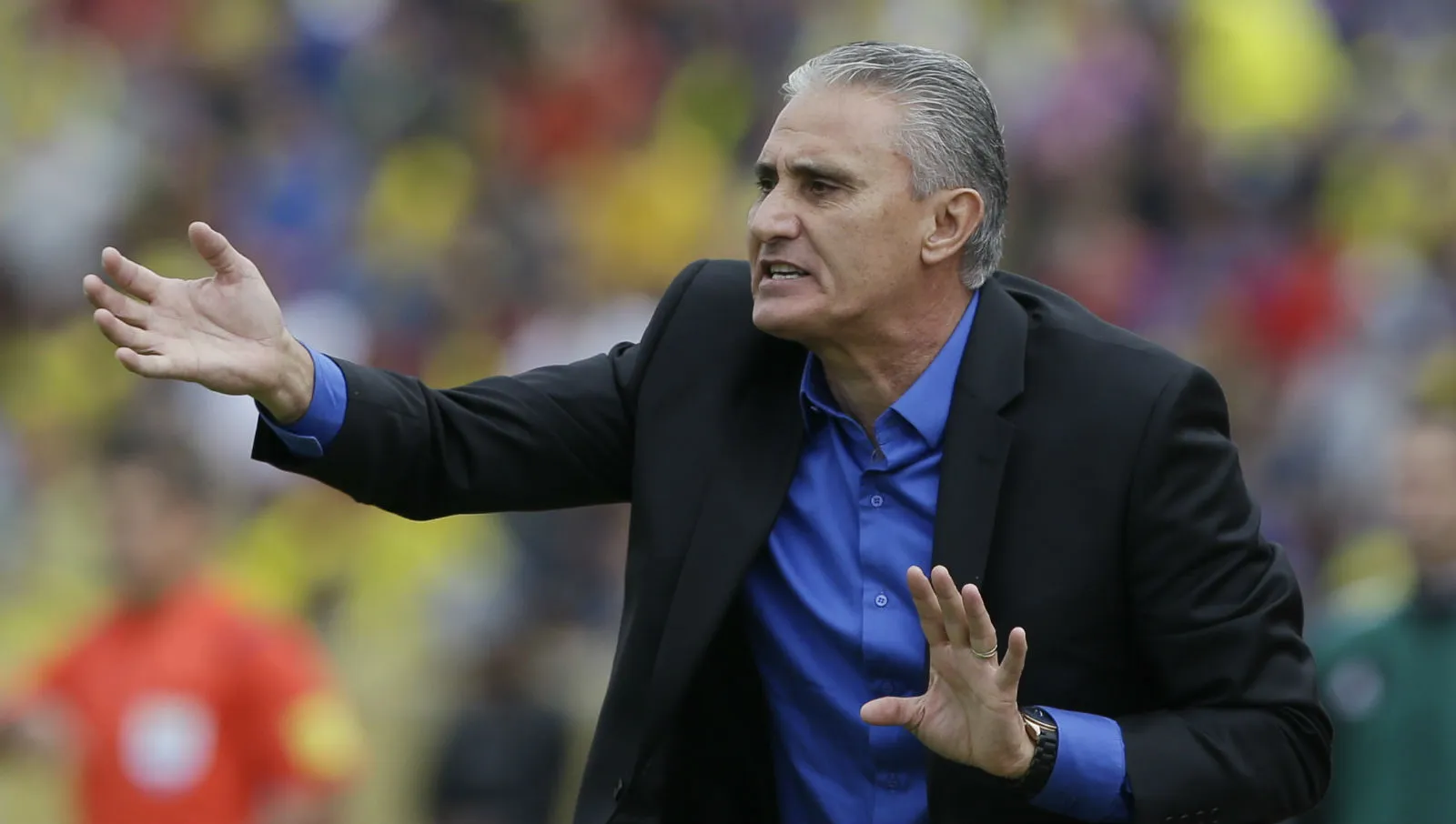 Estes s&atilde;o os convocados da Sele&ccedil;&atilde;o para as duas pr&oacute;ximas rodadas das Eliminat&oacute;rias