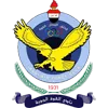 Al Quwa Al Jawiya