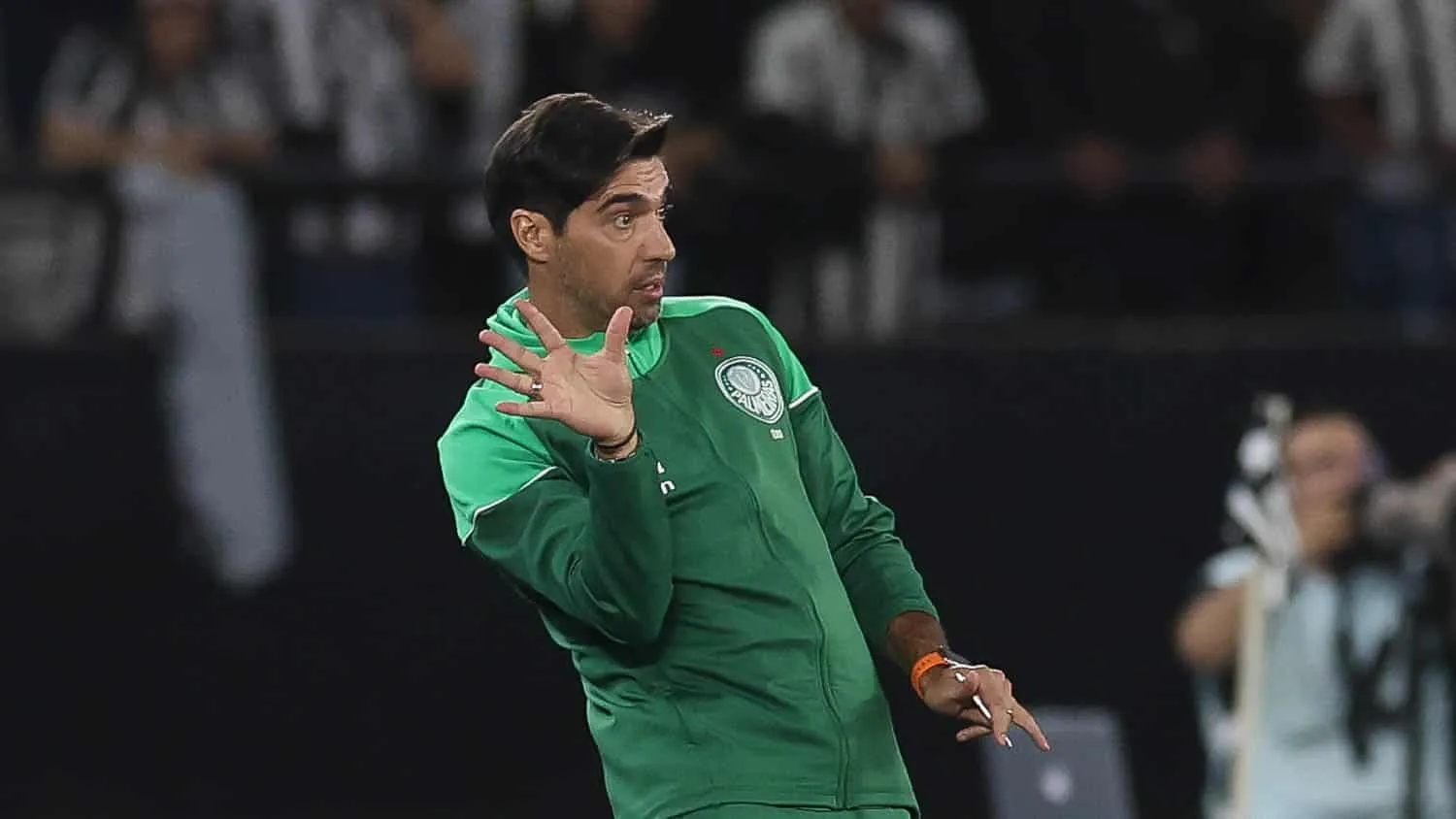 Palmeiras deixou Nilton Santos tranquilo e confiante: H&aacute; motivo para tanta calma?