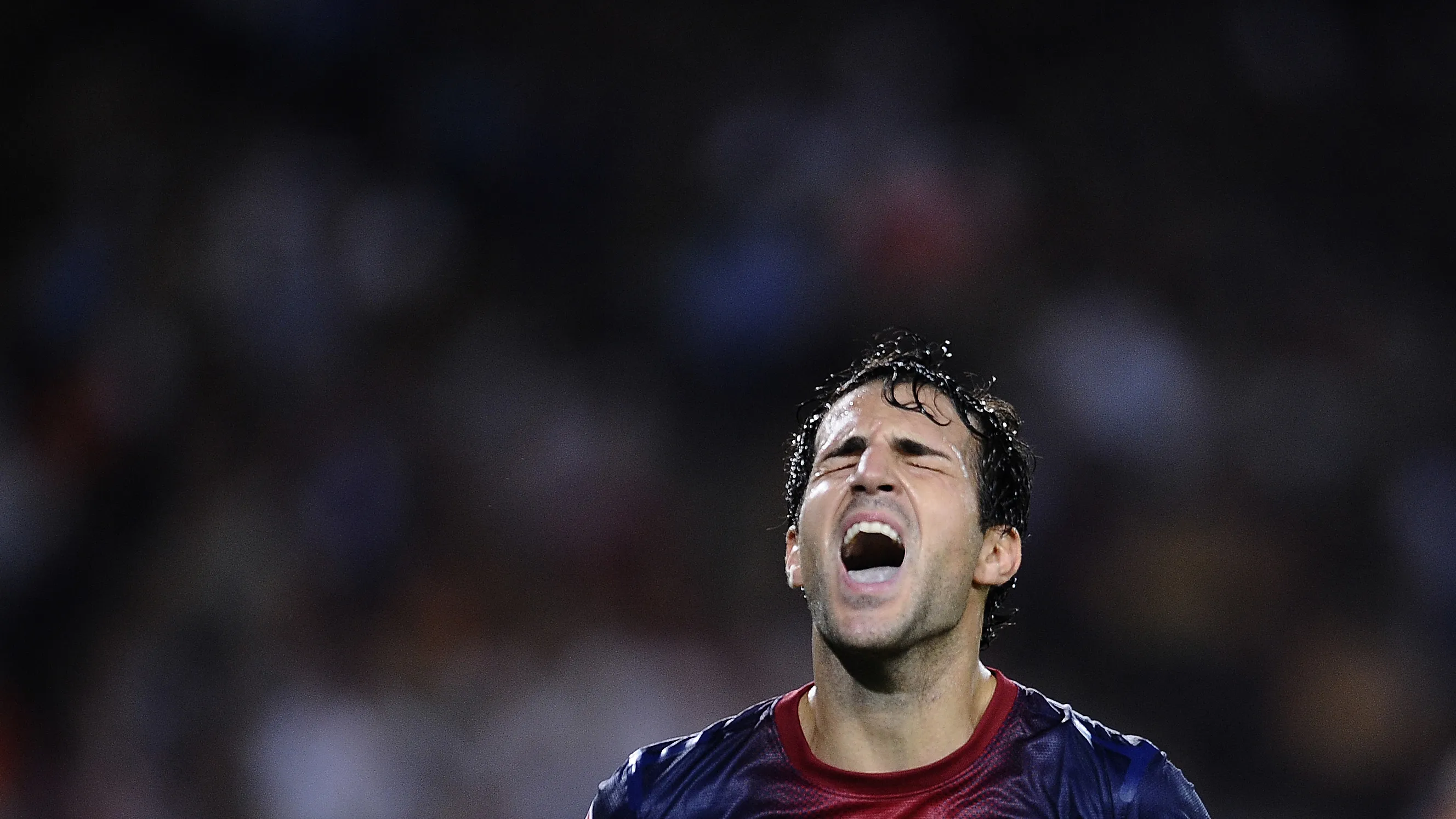F&agrave;bregas quer ficar no Barcelona e tem raz&atilde;o para isso