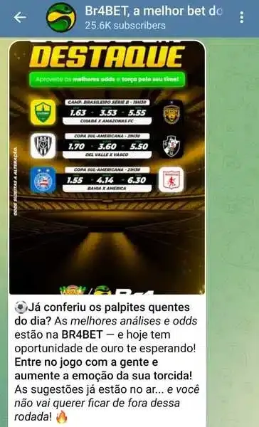 Captura de tela do grupo no Telegram da Br4Bet