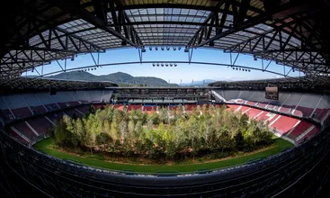 Exposi&ccedil;&atilde;o na &Aacute;ustria transformou gramado de est&aacute;dio da Euro 2008 em floresta surreal