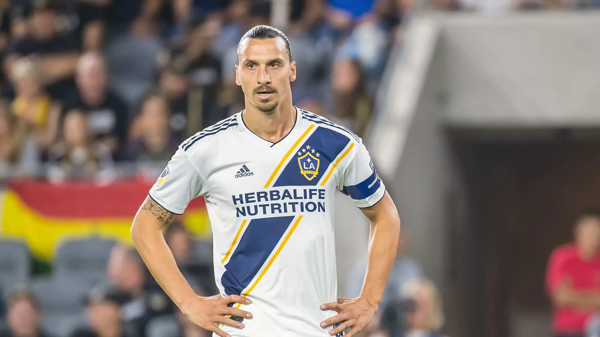 Ibrahimovic no Bologna? Diretor do clube garante que &eacute; poss&iacute;vel e que o sueco quer