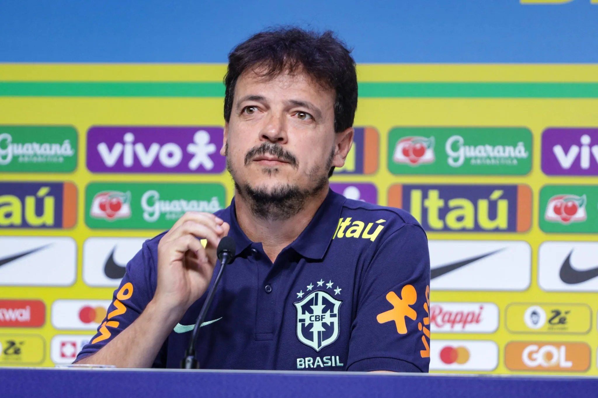 Fernando Diniz foi treinador interino da Sele&ccedil;&atilde;o (Foto: Imago/Fotoarena)