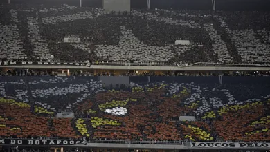 Como a torcida do Botafogo inovou com mosaico duplo no Nilton Santos